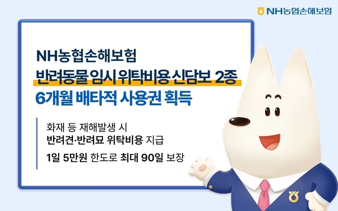 이미지/농협손해보험.