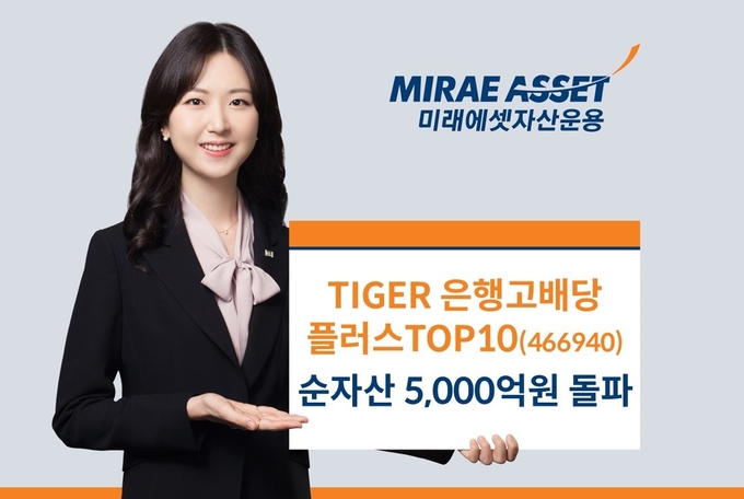 TIGER은행 고배당플러스TOP10.